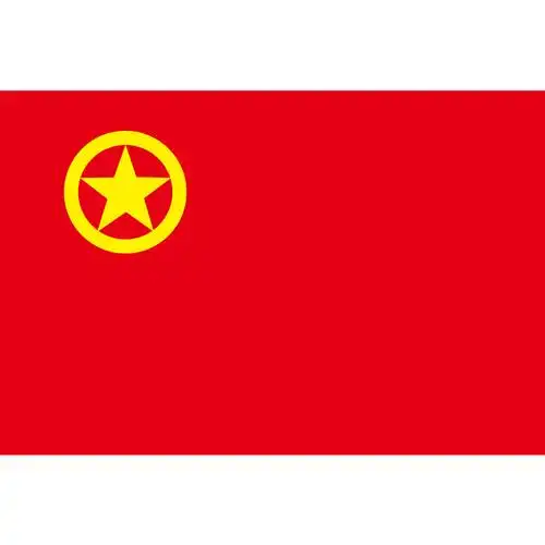 中国共青团团旗