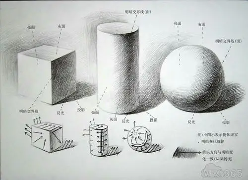 素描怎样上调子!在这里,总结给你们了