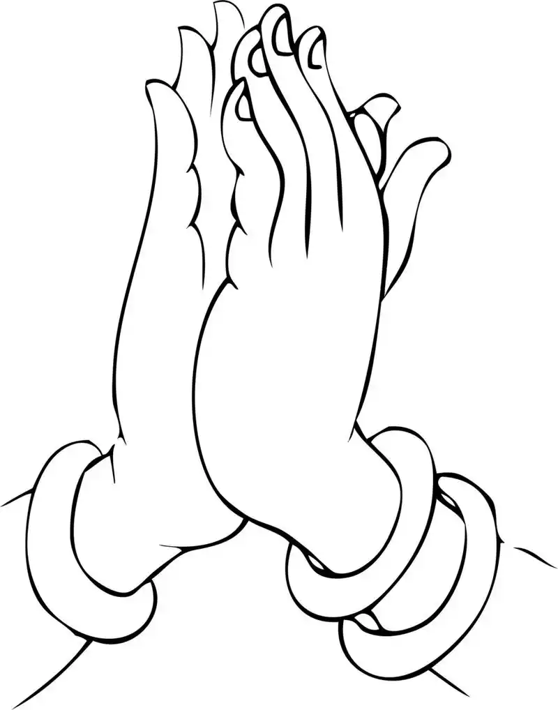 佛手线描·白描国画专业参考素材资料稿·壹 底稿/线描/白描/传统绘画