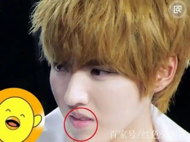 小鸡嘴配上这些明星的颜值是什么样子的,最后一位简直了