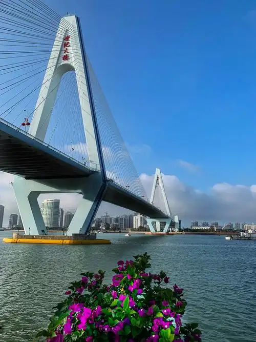 海口世纪大桥