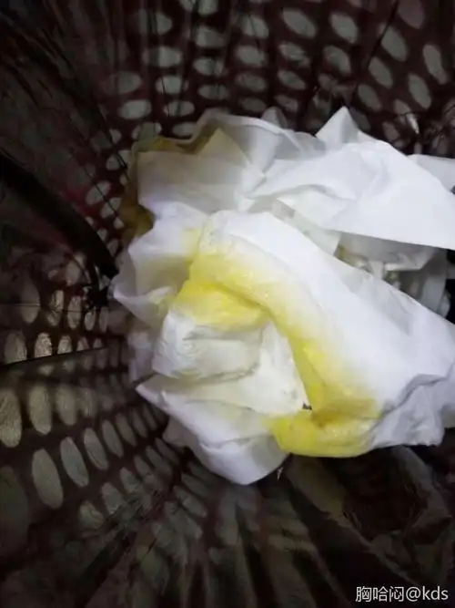 懂狗人士帮忙,图片重口味,慎点!