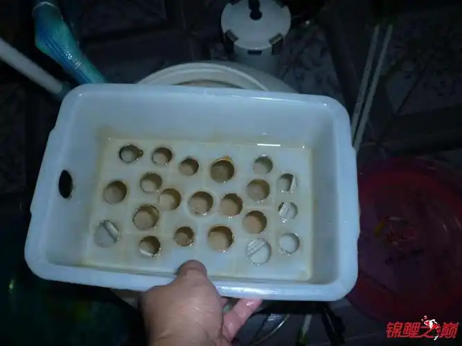 自制强大的过滤桶