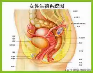 下腹部隐痛的原因右上腹部隐痛的原因