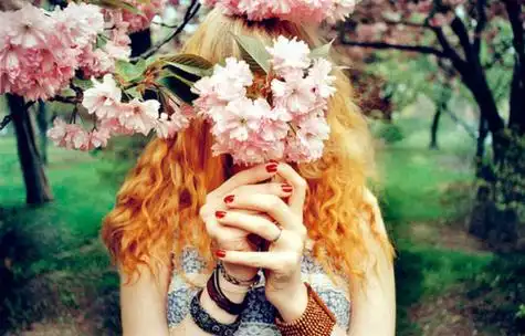 一季花落非主流唯美意境图片_谁又肯谢幕繁华