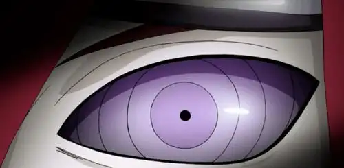 火影忍者轮回眼的4大种类,大筒木桃式拥有其中的2种,便自喻为神