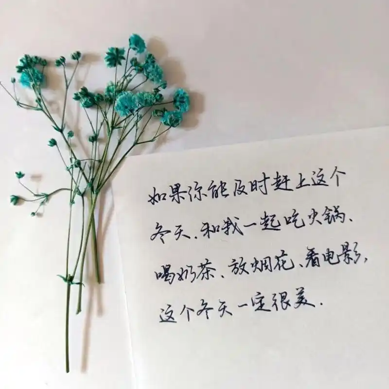 冬天|你的城市下雪了吗 #手写文案# #每日练字打卡# #摘抄# #你的城市