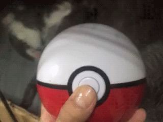 素材牛 - 搞笑gif动态图片,邪恶gif动态图片,搞笑图片,减压图片