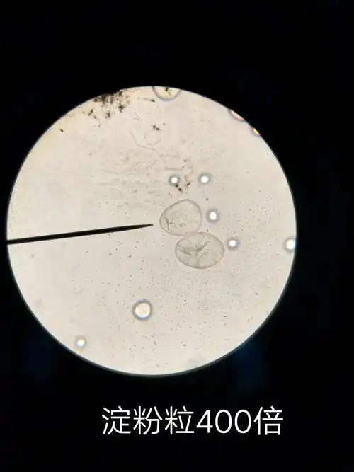 爱玩的 菇凉有点傻 的美篇 18级药剂6班药植显微实验小组 成员:李烨华