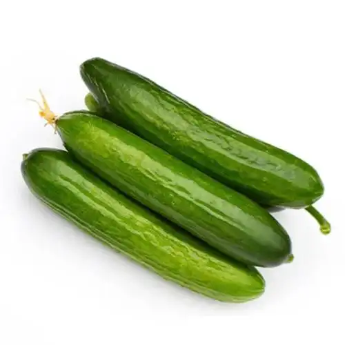 山东荷兰小黄瓜水果青瓜新鲜蔬菜 2.5kg