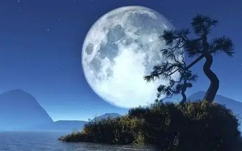 又到中秋月儿明