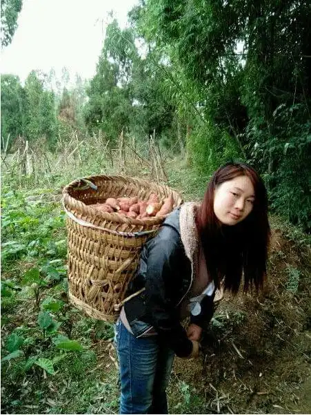 农村姑娘有多漂亮,看看她不仅长得美还会干活!好想娶_网易订阅