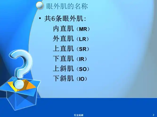 眼外肌解剖及作用荟萃精制