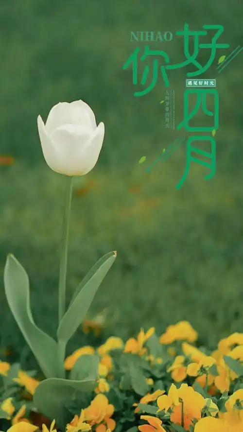 1024_1820竖版 竖屏