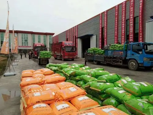 哪个厂家的喂牛的预混料好黑龙江省牛饲料牛冬天吃什么料比较好