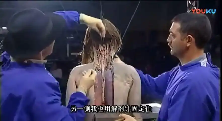 该视频由德国著名人解剖学博士,人称 "死亡博士"的冯.巩尔特.