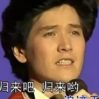 春晚经典故乡的云费翔的春晚经典