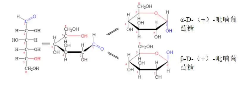 标记为d型,它有两种构型,分别称为α-d-( )-吡喃葡萄糖和β-d-( )