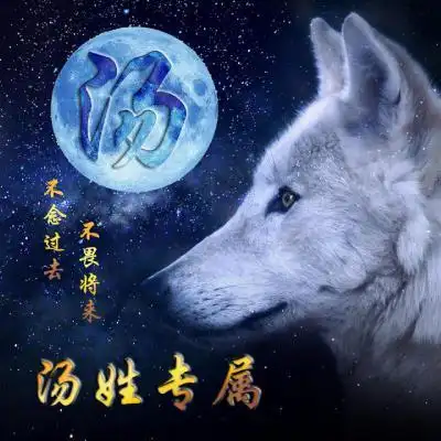 狼图腾姓氏头像你的姓氏专属头像图片