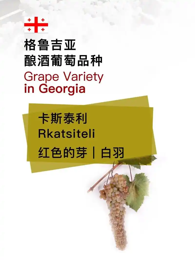 格鲁吉亚酿酒白葡萄品种—卡斯泰利.kakheti 地区最受欢 - 抖音