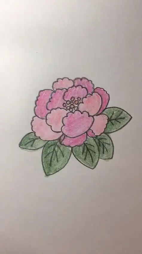 简笔画这样画牡丹花超简单你学会了吗-度小视