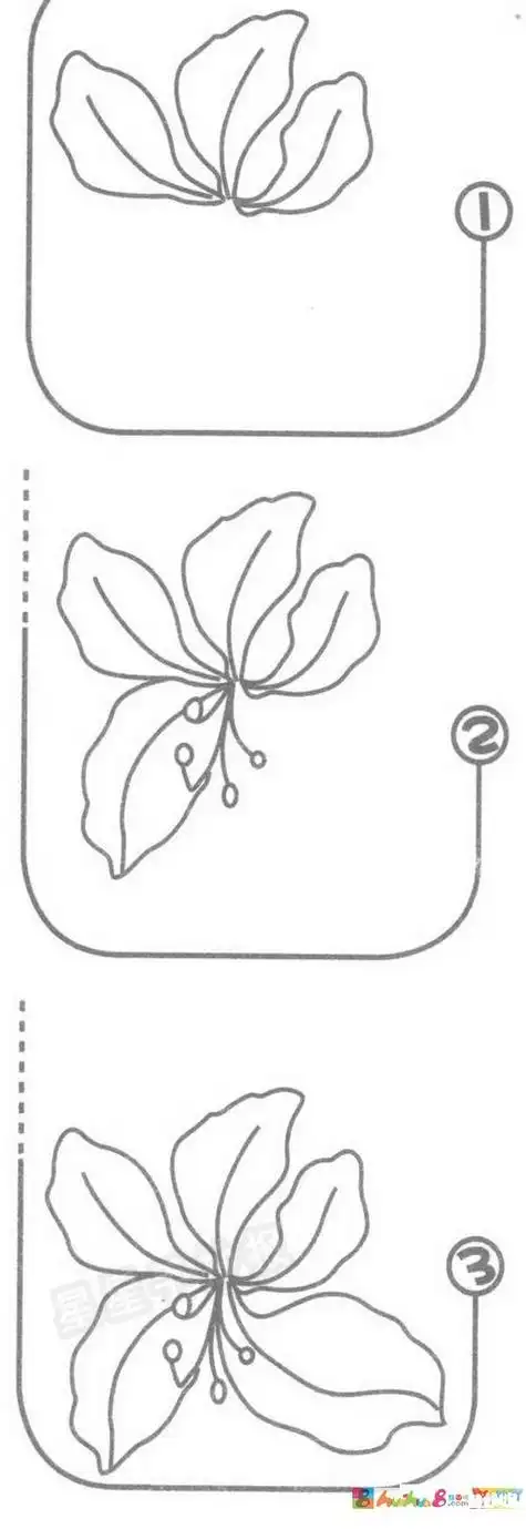紫荆树叶怎么画简笔画