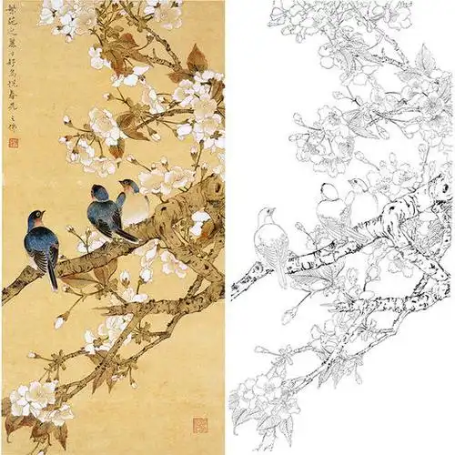 陈之佛工笔花鸟白描底稿-qa83