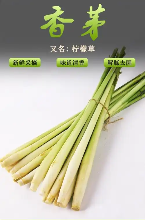 新鲜香茅草柠檬香茅泰国冬阴功汤香料调料1斤
