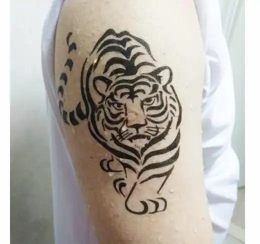 梦幻纹绘的优惠券大全—半臂花臂下山虎老虎纹身模板可重复用海娜膏