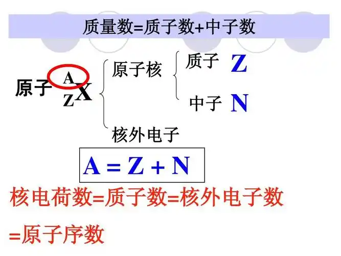 质量数=质子数 中子数 a 原子 x z 原子核 质子 中子 核外电子 z n a=