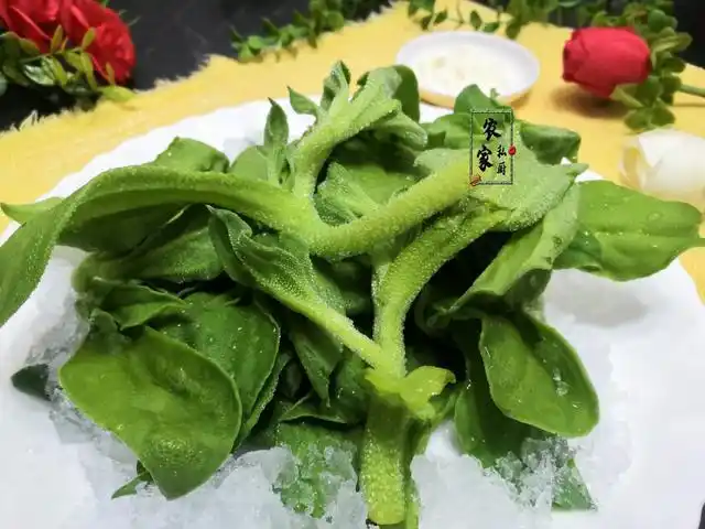 最后将摆好盘的冰菜以及沙拉酱一起端上桌后,这道晶莹剔透的冰菜沙拉