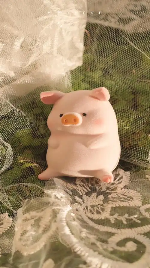 可爱呆萌的小猪静物图片手机壁纸