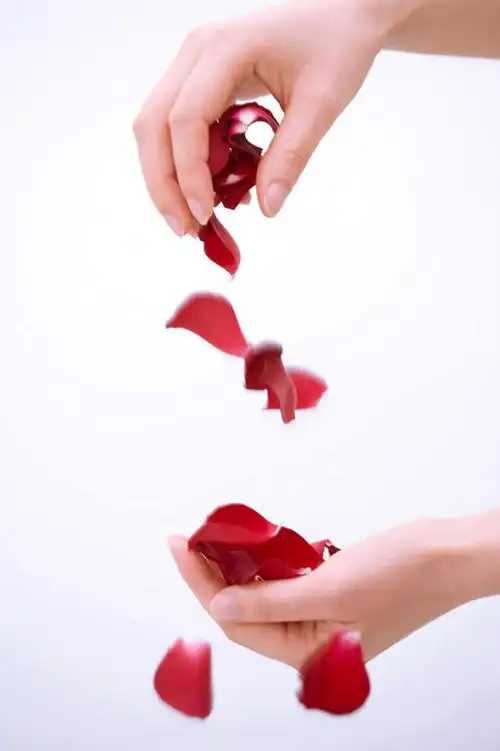 手,竖图,留白,白色背景,侧面,美景,景观,花,花瓣,红色,自然,景色,摄影