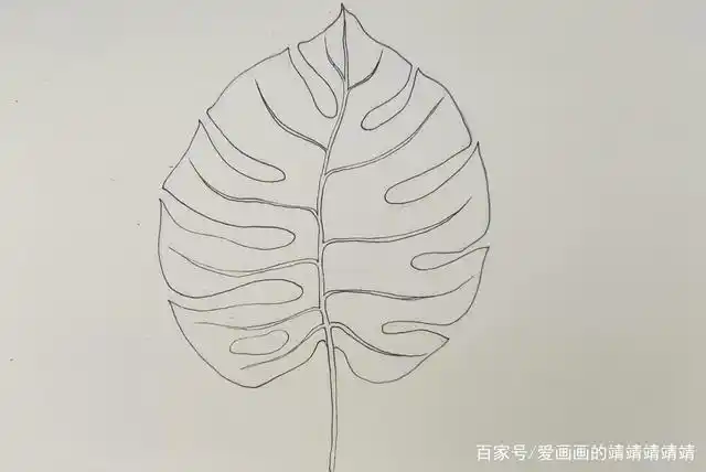 针管笔线描手绘练习,画一张龟背竹叶