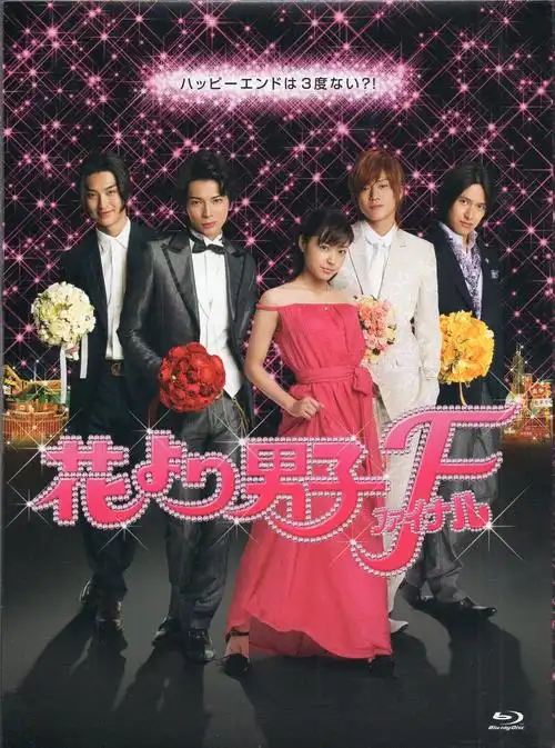 entertainment movie-ray blu hana yori dango (boys over flowers)