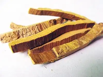 中药材【盐黄柏】详细信息