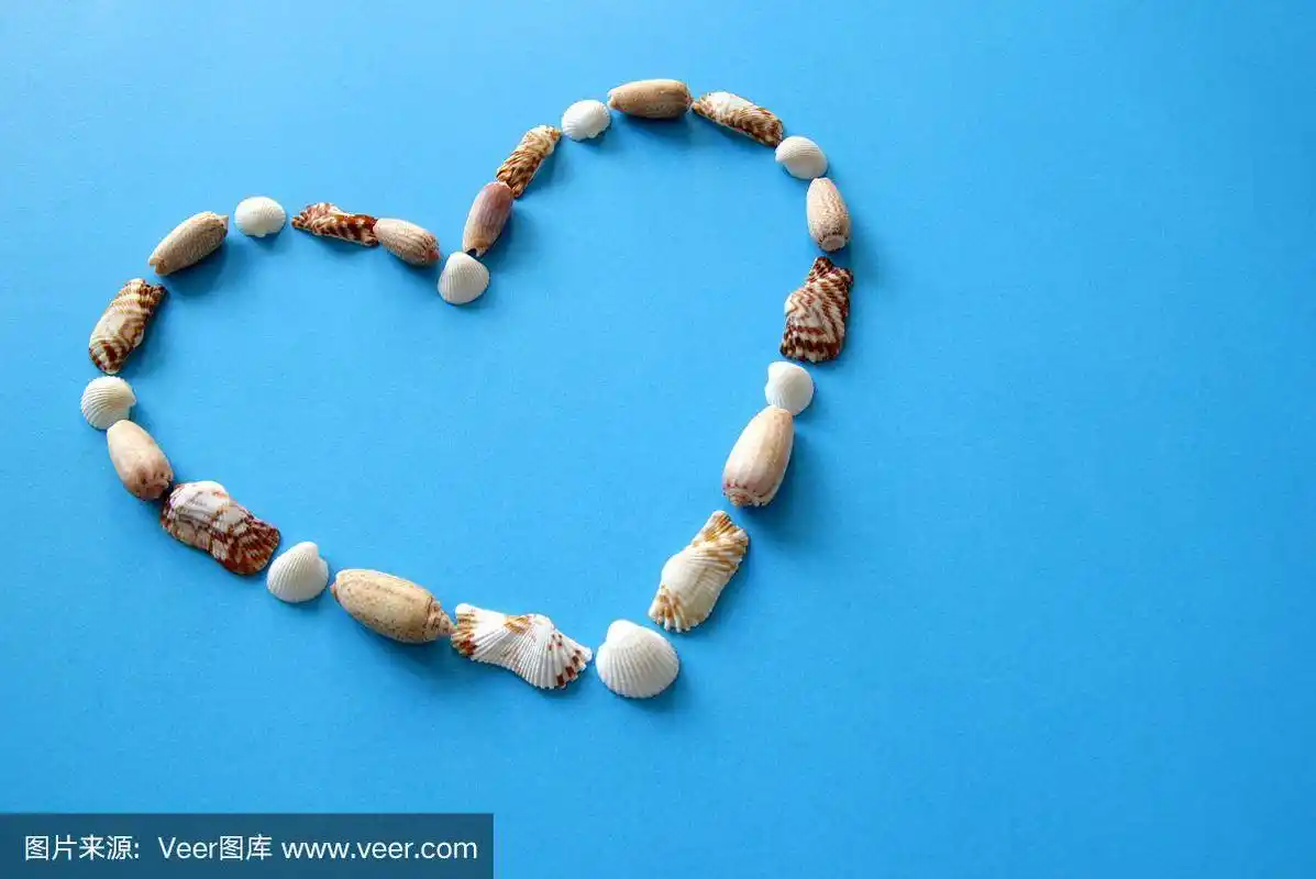 蓝色的背景上有一颗来自不同贝壳的心,献给情人节.