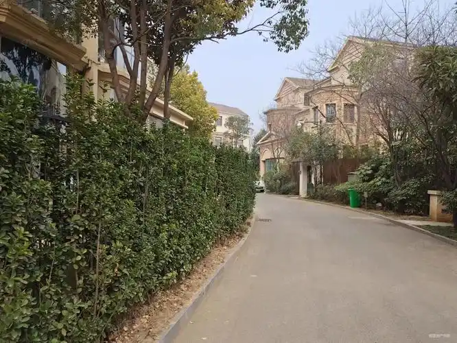 周山森林公园旁丨香樟林别墅丨毛坯丨随意装修丨上下四层丨诚心售