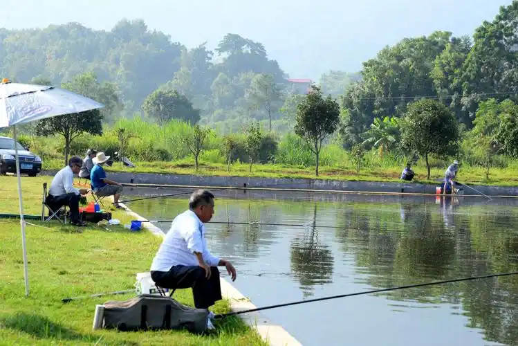 赣州市 南康区 钓鱼协会 垂钓趣事