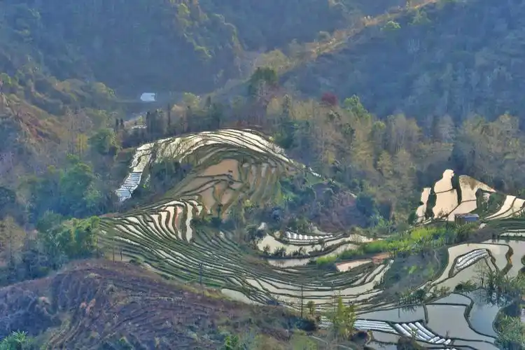 老虎嘴梯田