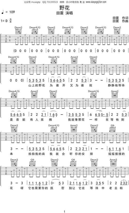 田震野花吉他谱c调吉他弹唱谱