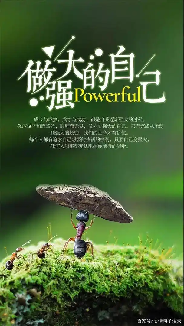 早安心语图片带字句子,早安励志心语正能量短句