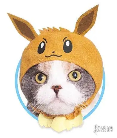 上吧皮卡丘宝可梦猫咪头套扭蛋明年上市