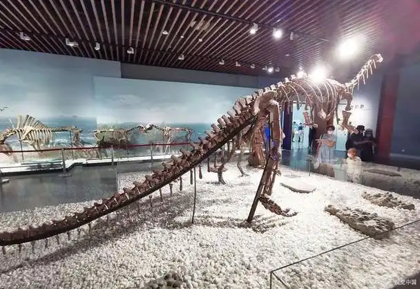 西安自然博物馆好玩吗