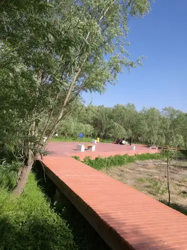 黄天荡湿地公园