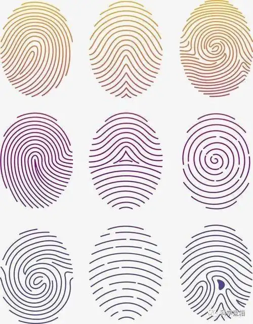 《独一无二的指纹》教学指南