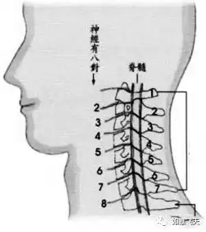 如意飞天艾灸液调理颈椎病简单又有效,让你告别职业病!