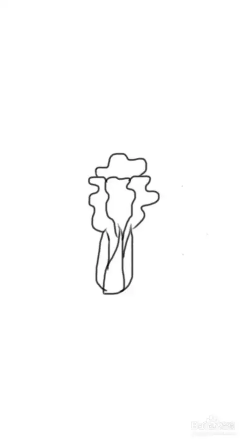 小青菜简笔画小青菜简笔画图片