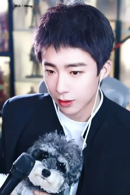 刘宇宁直播##刘宇宁前途无量二百块