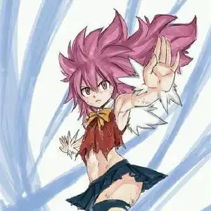 dragon slayer[日本动漫妖精的尾巴中的灭龙魔法师]